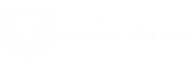 Talento Verde Olivo